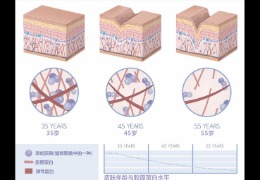 水潤皮膚的秘密武器，乙酰殼糖胺和透明質(zhì)酸的甜蜜聯(lián)盟！
